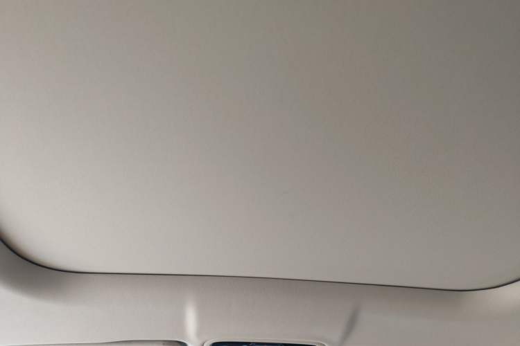 Used Leapmotor C11 2024 Range-Extended 300 Luxury Edition Headliner