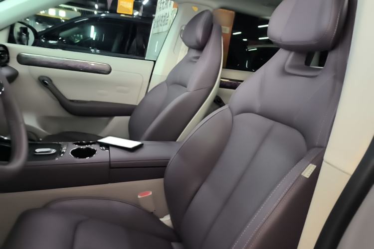 Used Leapmotor C11 2024 Range-Extended 300 Smart Enjoyment Edition Left Front Seat