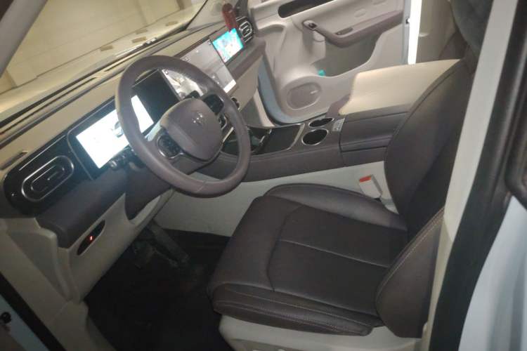 Used Leapmotor C11 2024 Range-Extended 200 Smart Enjoyment Edition Left Front Seat