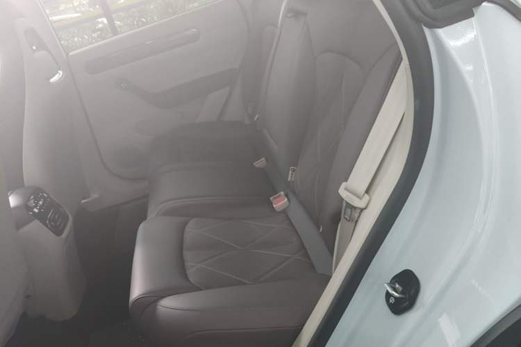 Used Leapmotor C11 2024 Range-Extended 300 Luxury Edition Left Rear Seat