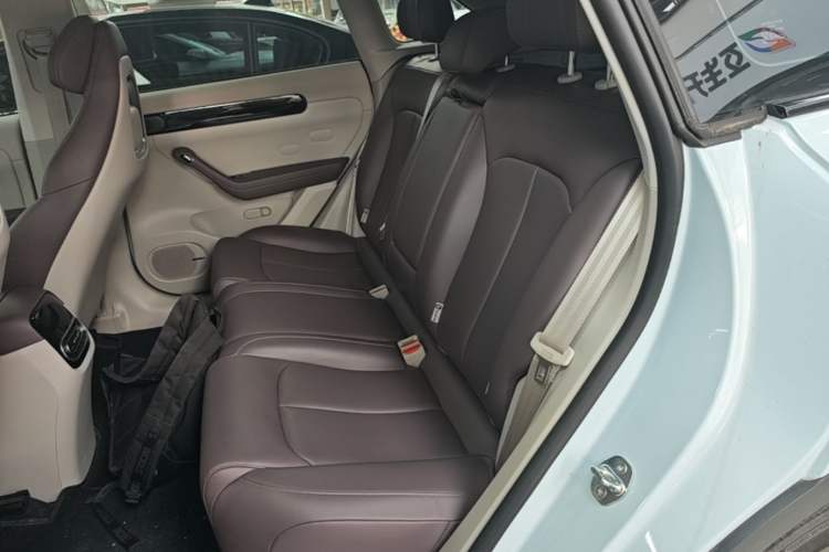 Used Leapmotor C11 2024 Range-Extended 200 Smart Enjoyment Edition Left Rear Seat