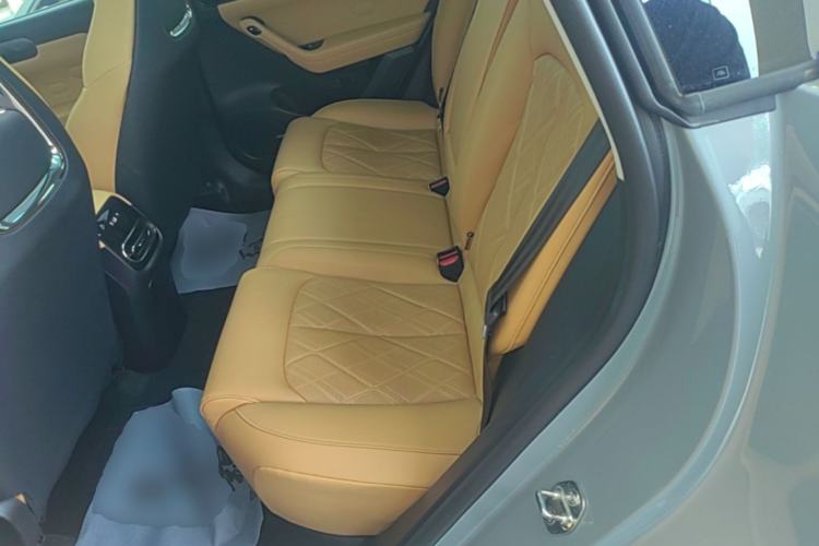 Used Leapmotor C11 2024 Range-Extended 300 Luxury Edition Left Rear Seat