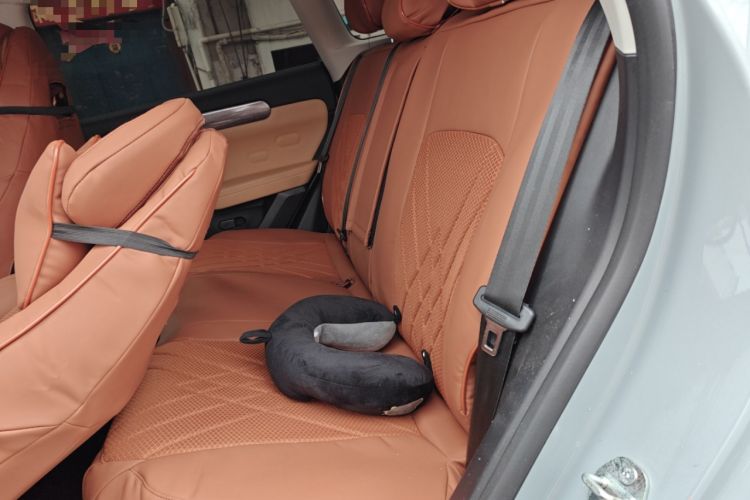 Used Leapmotor C11 2024 Range-Extended 300 Smart Enjoyment Edition Left Rear Seat