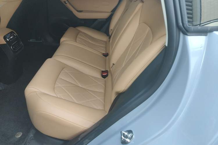 Used Leapmotor C11 2024 All-Electric 580 Luxury Edition Left Rear Seat