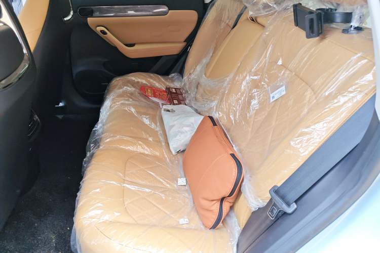 Used Leapmotor C11 2024 Range-Extended 300 Luxury Edition Left Rear Seat