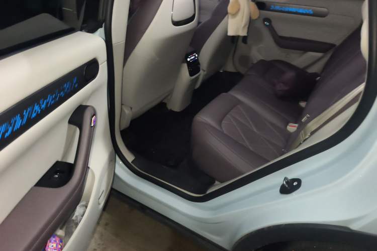 Used Leapmotor C11 2024 All-Electric 580 Luxury Edition Left Rear Seat