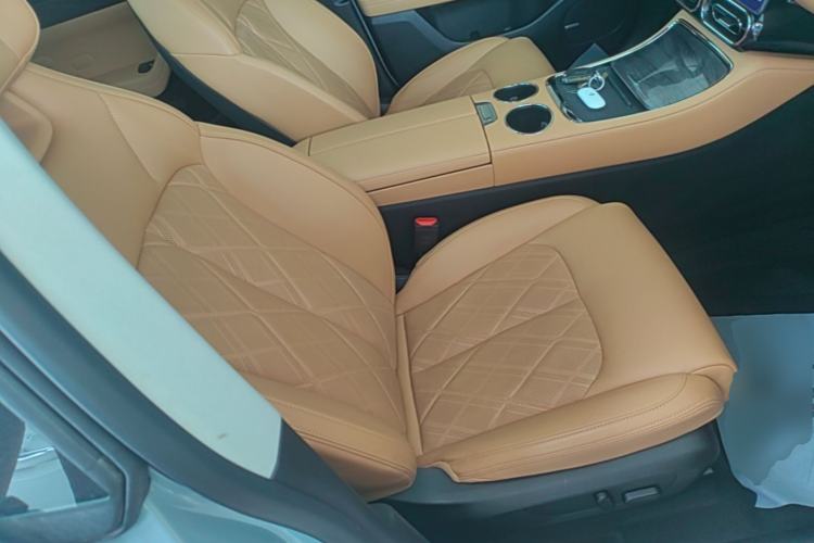 Used Leapmotor C11 2024 Range-Extended 300 Luxury Edition Right Front Seat