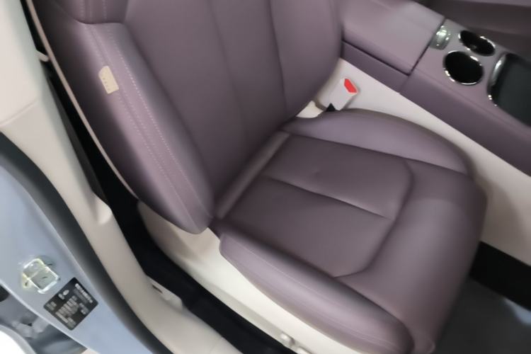 Used Leapmotor C11 2024 Range-Extended 300 Luxury Edition Right Front Seat