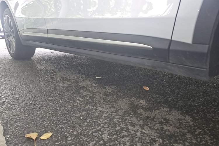 Used Leapmotor C11 2024 All-Electric 580 Luxury Edition Right Side Sill