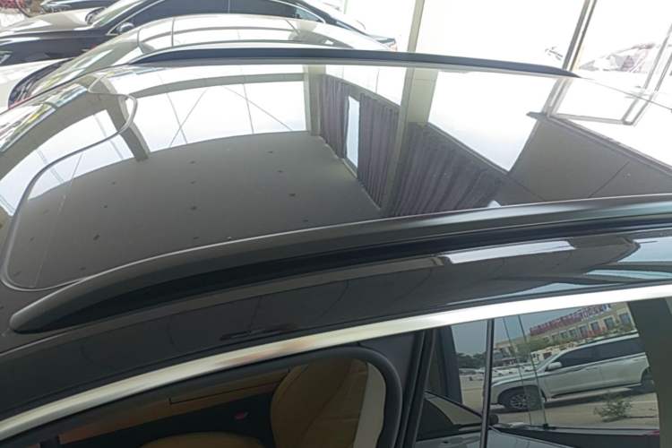 Used Leapmotor C11 2024 Range-Extended 300 Luxury Edition Roof