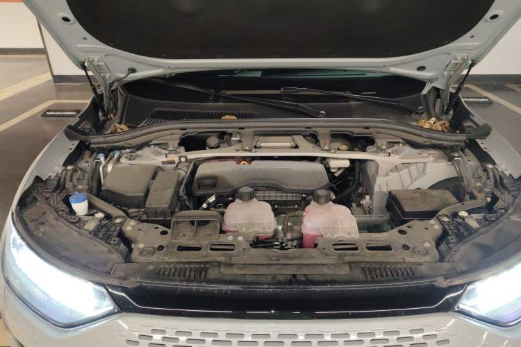 Used Leapmotor C11 2024 Range-Extended 300 Luxury Edition Engine Bay