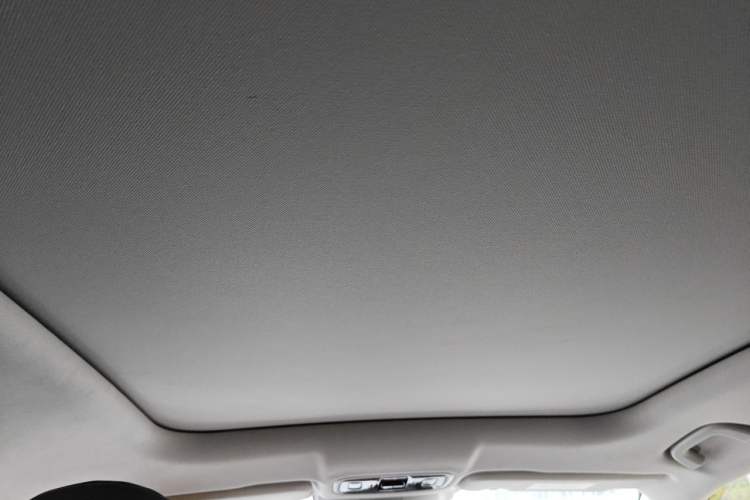 Used Leapmotor C11 2024 Range-Extended 300 Luxury Edition Headliner