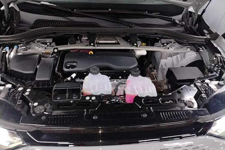 Used Leapmotor C11 2024 Range-Extended 300 Luxury Edition Engine Bay