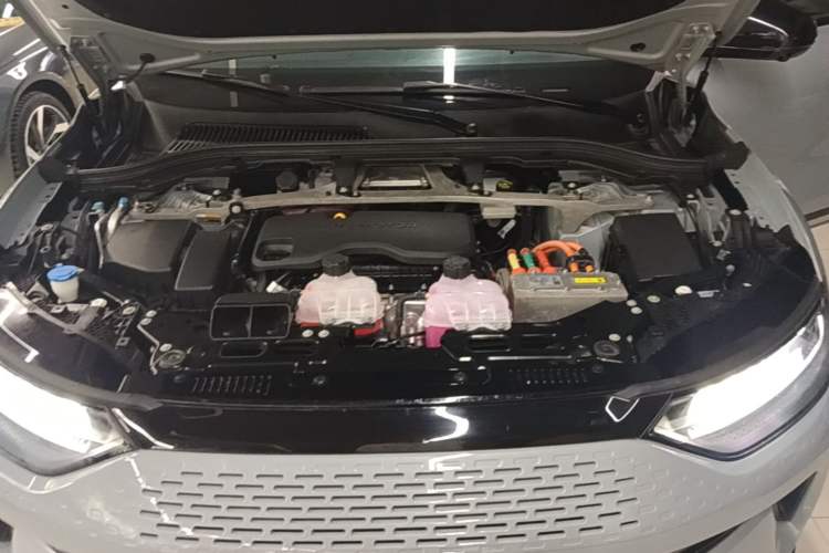 Used Leapmotor C11 2024 Range-Extended 300 Luxury Edition Engine Bay