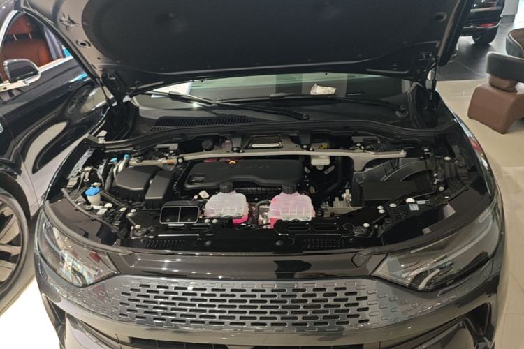 Used Leapmotor C11 2024 Range-Extended 300 Luxury Edition Engine Bay