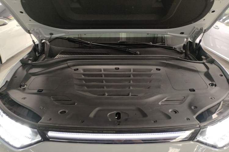 Used Leapmotor C11 2024 All-Electric 580 Luxury Edition Engine Bay