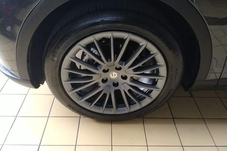 Used Leapmotor C11 2024 Range-Extended 300 Luxury Edition Exterior 4