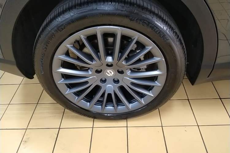 Used Leapmotor C11 2024 Range-Extended 300 Luxury Edition Exterior 5