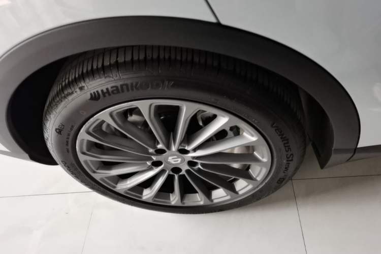Used Leapmotor C11 2024 All-Electric 580 Luxury Edition Exterior 5