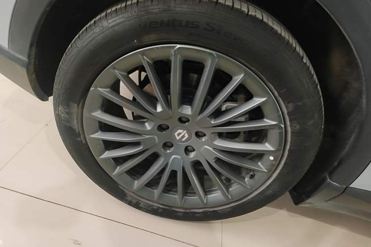 Used Leapmotor C11 2024 All-Electric 580 Luxury Edition Exterior 5