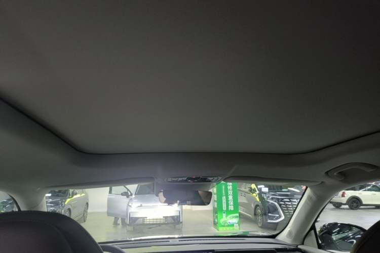 Used Leapmotor C11 2024 Range-Extended 300 Luxury Edition Headliner