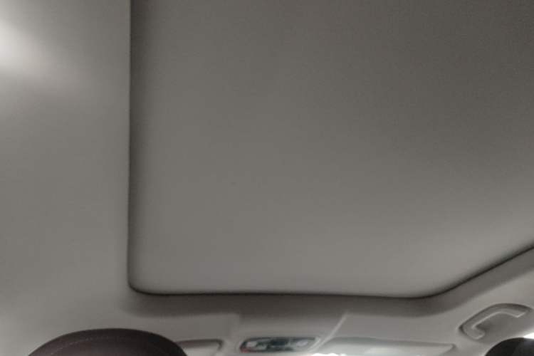 Used Leapmotor C11 2024 All-Electric 580 Luxury Edition Headliner
