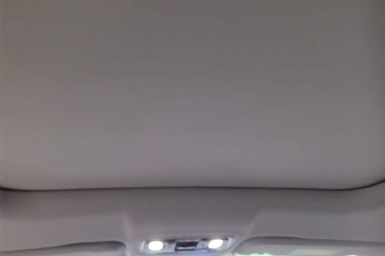 Used Leapmotor C11 2024 Range-Extended 300 Luxury Edition Headliner