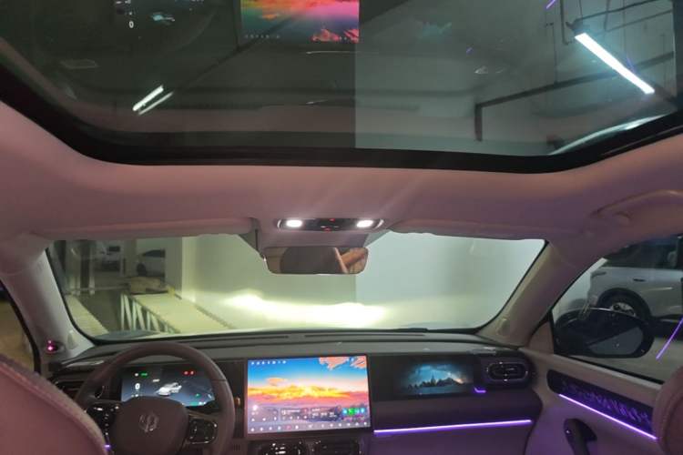 Used Leapmotor C11 2024 All-Electric 580 Luxury Edition Headliner