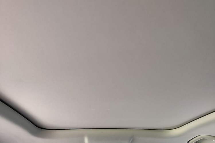 Used Leapmotor C11 2024 All-Electric 580 Luxury Edition Headliner