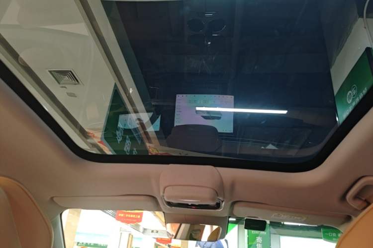 Used Leapmotor C11 2024 All-Electric 580 Luxury Edition Headliner
