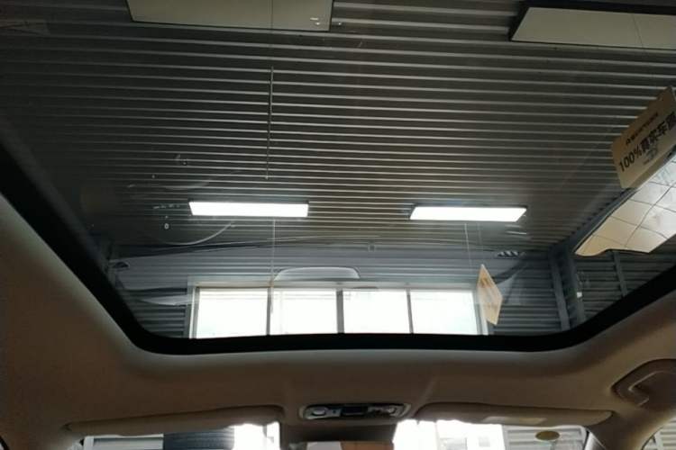 Used Leapmotor C11 2024 Range-Extended 300 Luxury Edition Headliner