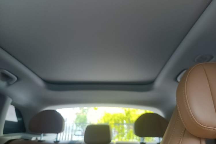 Used Leapmotor C11 2024 Range-Extended 300 Luxury Edition Headliner