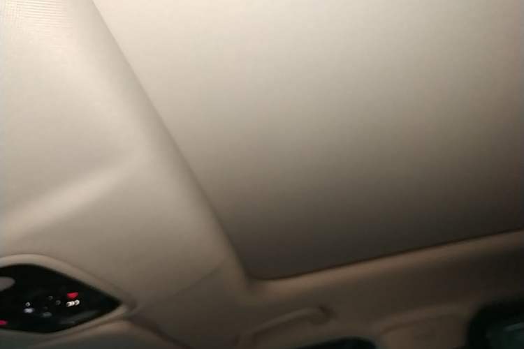 Used Leapmotor C11 2024 Range-Extended 300 Luxury Edition Headliner
