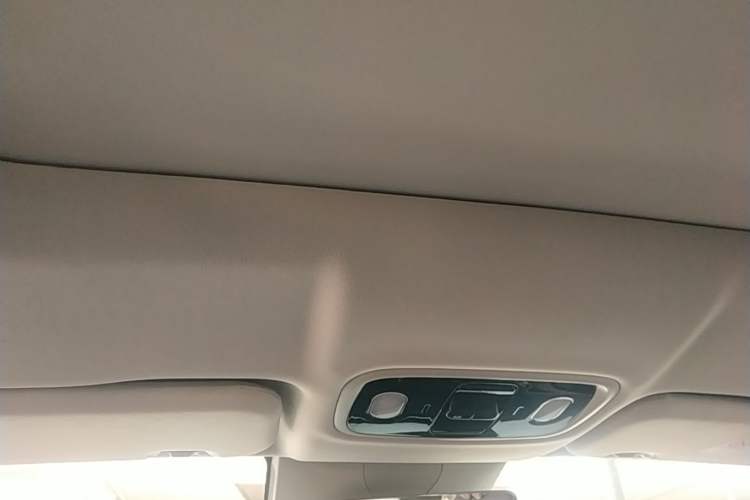 Used Leapmotor C11 2024 All-Electric 580 Luxury Edition Headliner