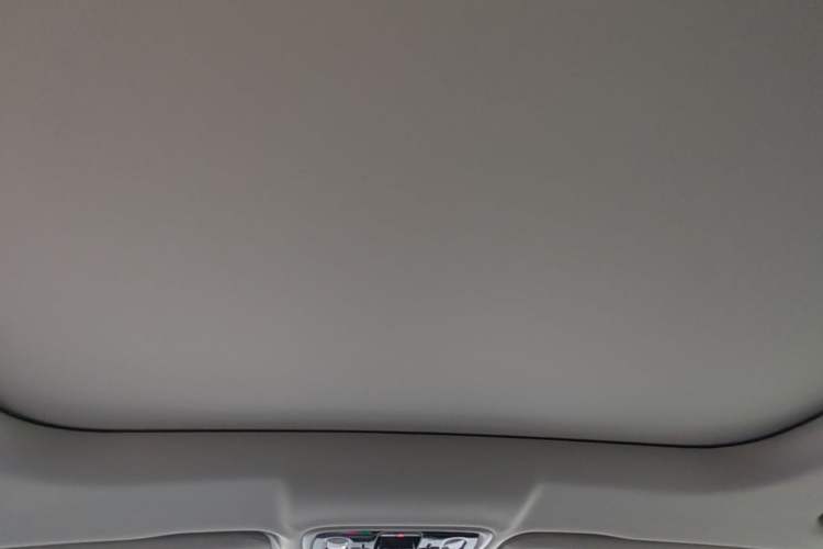 Used Leapmotor C11 2024 All-Electric 580 Luxury Edition Headliner