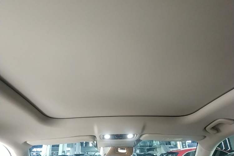 Used Leapmotor C11 2024 All-Electric 580 Luxury Edition Headliner