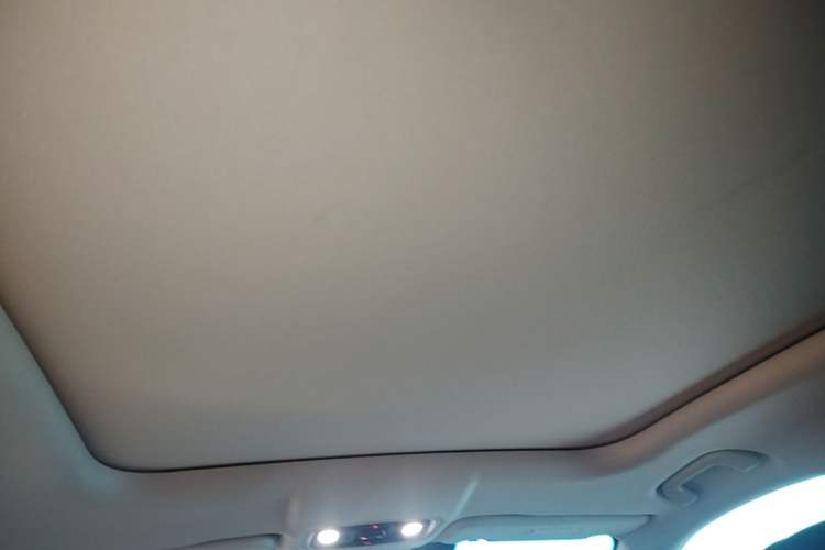 Used Leapmotor C11 2024 All-Electric 580 Luxury Edition Headliner