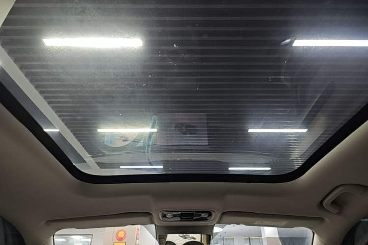 Used Leapmotor C11 2024 All-Electric 580 Luxury Edition Headliner