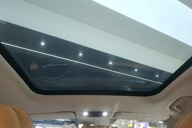 Used Leapmotor C11 2024 Range-Extended 300 Luxury Edition Headliner
