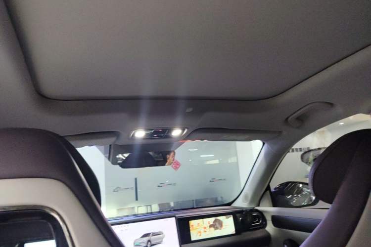 Used Leapmotor C11 2024 All-Electric 580 Luxury Edition Headliner