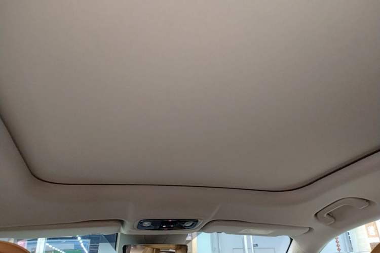 Used Leapmotor C11 2024 All-Electric 580 Luxury Edition Headliner