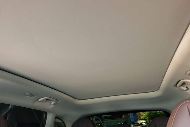 Used Leapmotor C11 2024 Range-Extended 300 Luxury Edition Headliner