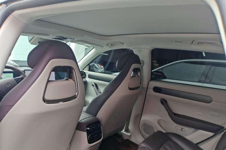 Used Leapmotor C11 2024 All-Electric 580 Luxury Edition Headliner