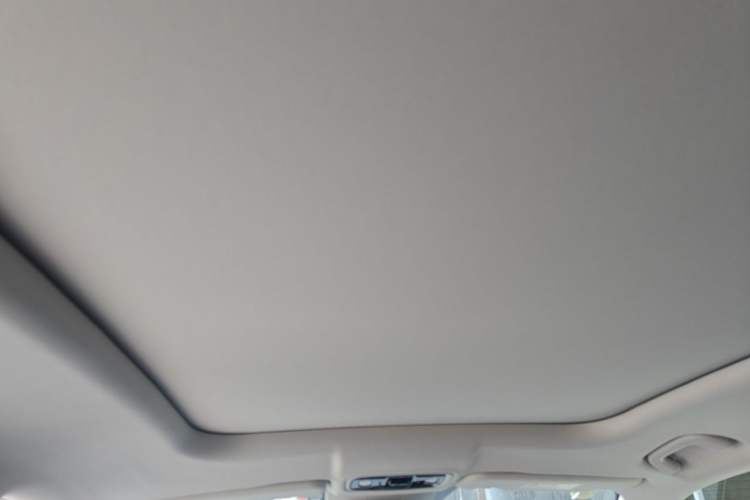 Used Leapmotor C11 2024 All-Electric 580 Luxury Edition Headliner