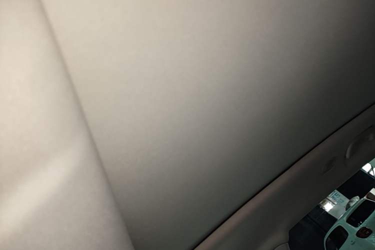 Used Leapmotor C11 2024 Range-Extended 300 Luxury Edition Headliner