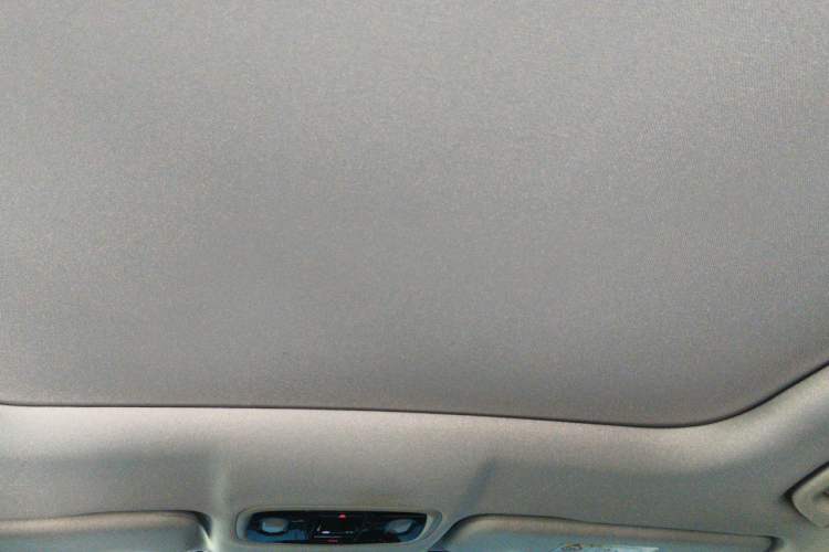 Used Leapmotor C11 2024 All-Electric 580 Luxury Edition Headliner