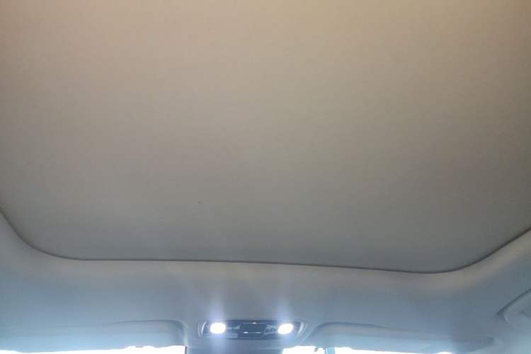 Used Leapmotor C11 2024 Range-Extended 200 Smart Enjoyment Edition Headliner