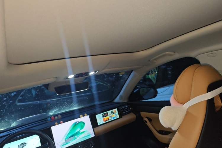 Used Leapmotor C11 2024 All-Electric 580 Luxury Edition Headliner