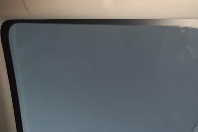Used Leapmotor C11 2024 All-Electric 580 Luxury Edition Headliner