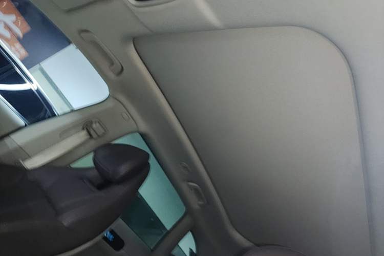 Used Leapmotor C11 2024 All-Electric 580 Luxury Edition Headliner